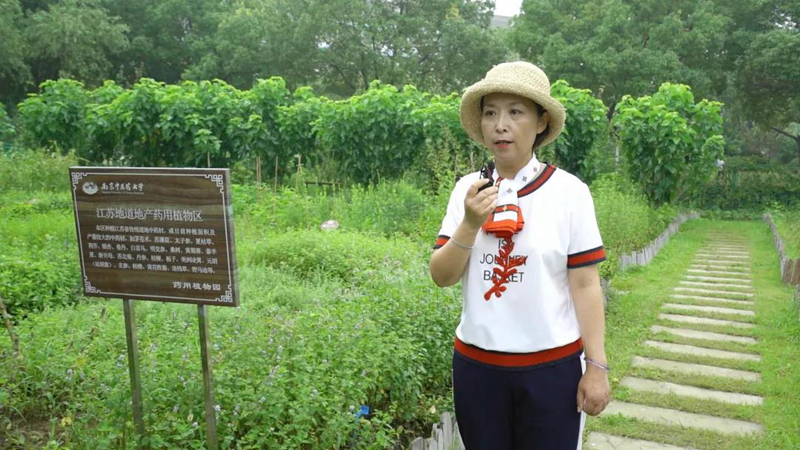 【中医高校巡礼】“云”游南京中医药大学